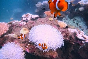 Phuket: Khai Islands Tour Or Water Activities Options