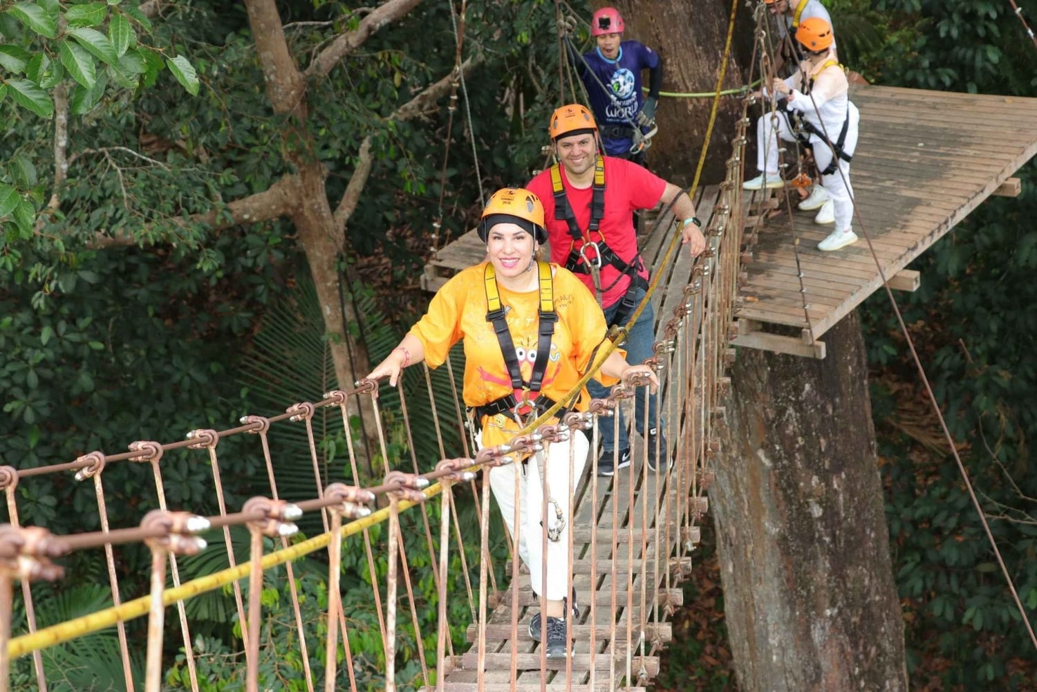 بوكيت: كومبو بريميوم للزيبلين ومحميات الفيلة الأخلاقية