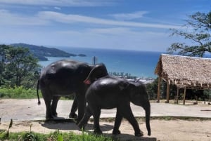 Phuket: Premium tokkelbaan en ethische olifantenopvang-combo