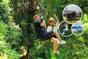 بوكيت: كومبو بريميوم للزيبلين ومحميات الفيلة الأخلاقية