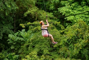 بوكيت: كومبو بريميوم للزيبلين ومحميات الفيلة الأخلاقية