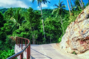 Phuket: privé ATV-rit door de jungle en bergen