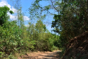 Phuket: privé ATV-rit door de jungle en bergen