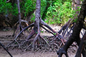 푸켓 제임스 본드 섬으로 가는 개인 보트 전세