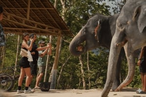 Phuket: Privat stadstur med elefantreservat