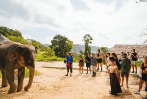 Phuket: Privat stadstur med elefantreservat