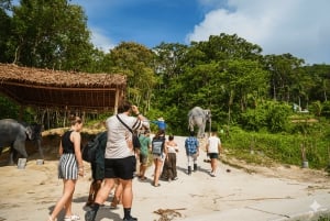 Phuket: Privat stadstur med elefantreservat