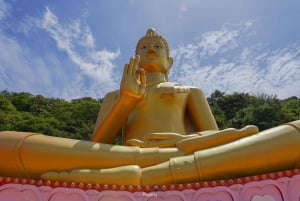 بوكيت: جولة خاصة قابلة للتخصيص مع مرشد محلي مميز