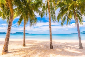 بوكيت: جولة خاصة قابلة للتخصيص مع مرشد محلي مميز