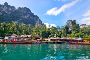 Phuket: Private Tagestour Khao Sok mit Bootstour zum See und Mittagessen