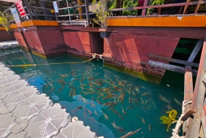 Phuket: Private Tagestour Khao Sok mit Bootstour zum See und Mittagessen