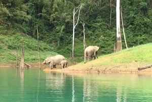 Phuket: Private Day Trip to Cheow Larn Lake - All Inclusive