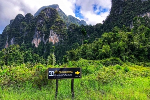 Desde Phuket: Excursión de un día en privado a Khao Sok con excursión Longtail