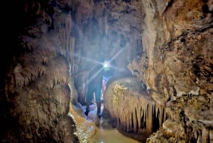 Desde Phuket: Excursión de un día en privado a Khao Sok con excursión Longtail