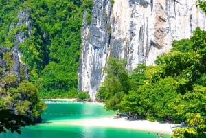 Phuket: Private Speedboat Charter to Phi Phi & Khai Islands