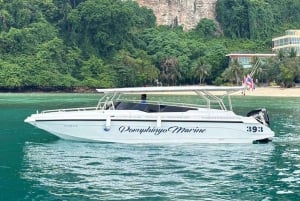 Phuket: Private Speedboat Charter to Phi Phi & Khai Islands