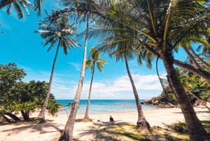 Phuket: crociera privata al tramonto su un longtail boat di lusso