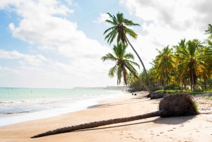 بوكيت: رحلة بحرية وقت الغروب على متن قارب الذيل الطويل الفاخر