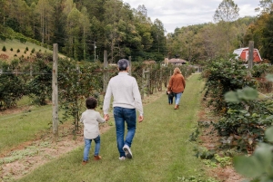 Phuket: Private Vacation Photoshoot with Photographer