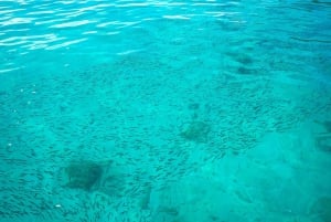 Phuket: gita di 1 giorno in motoscafo alle isole Coral e Racha con pranzo