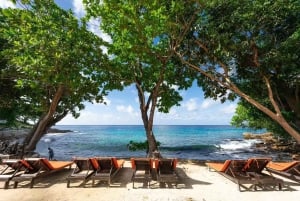 Phuket: gita di 1 giorno in motoscafo alle isole Coral e Racha con pranzo