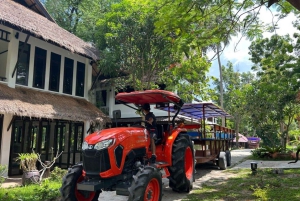 Phuket: Coral & Racha Islands dagstur med lyxkatamaran