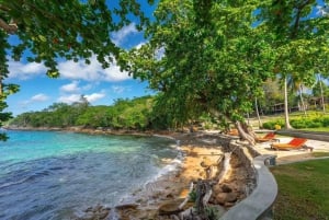 Phuket: Coral & Racha Islands dagstur med lyxkatamaran