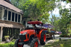 Phuket: Racha Yai & Racha Noi Island -sukellusretki