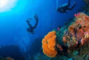 Phuket: Racha Island and Coral Islands + Scuba Beach Dive