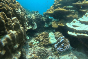 Phuket: Racha Islands 3 Tauchgänge Bootsausflug PADI GoPro