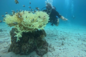 푸켓 라차 제도 3 스쿠버 다이빙 보트 여행 PADI GoPro