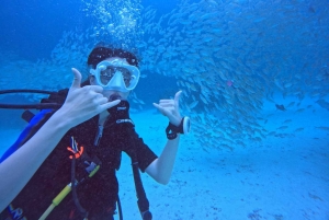 푸켓 라차 제도 3 스쿠버 다이빙 보트 여행 PADI GoPro