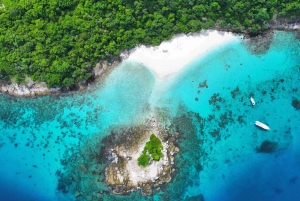 Phuket: Racha Islands & Maiton Dolphin Spotting by Speedboat