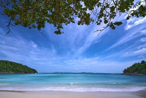 푸켓: 라차 제도 프라이빗 롱테일 보트 투어