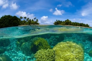 Phuket: Racha Noi & Maiton Catmaran Tour with Beach Picnic