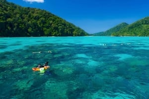 Phuket: Racha Noi & Maiton Catmaran Tour with Beach Picnic