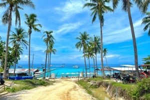 Phuket: wyspy Racha i Maiton – wyprawa motorówką i obserwacja delfinów