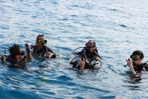 Phuket: Racha Yai 2-morsomme dykk eller snorkeltur med transport