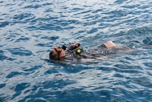 Phuket: Racha Yai 2-morsomme dykk eller snorkeltur med transport