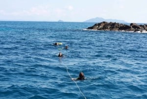 Phuket: Racha Yai 2-morsomme dykk eller snorkeltur med transport