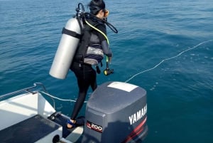 Phuket: Racha Yai 2-morsomme dykk eller snorkeltur med transport