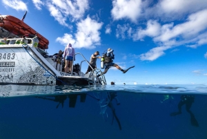 Phuket: Racha Yai 2-Fun Dives of snorkeltrip met transfer