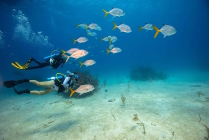 Phuket: Racha Yai 2-Fun Dives of snorkeltrip met transfer