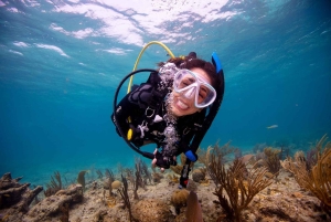Phuket: Racha Yai 2-Fun Dives of snorkeltrip met transfer