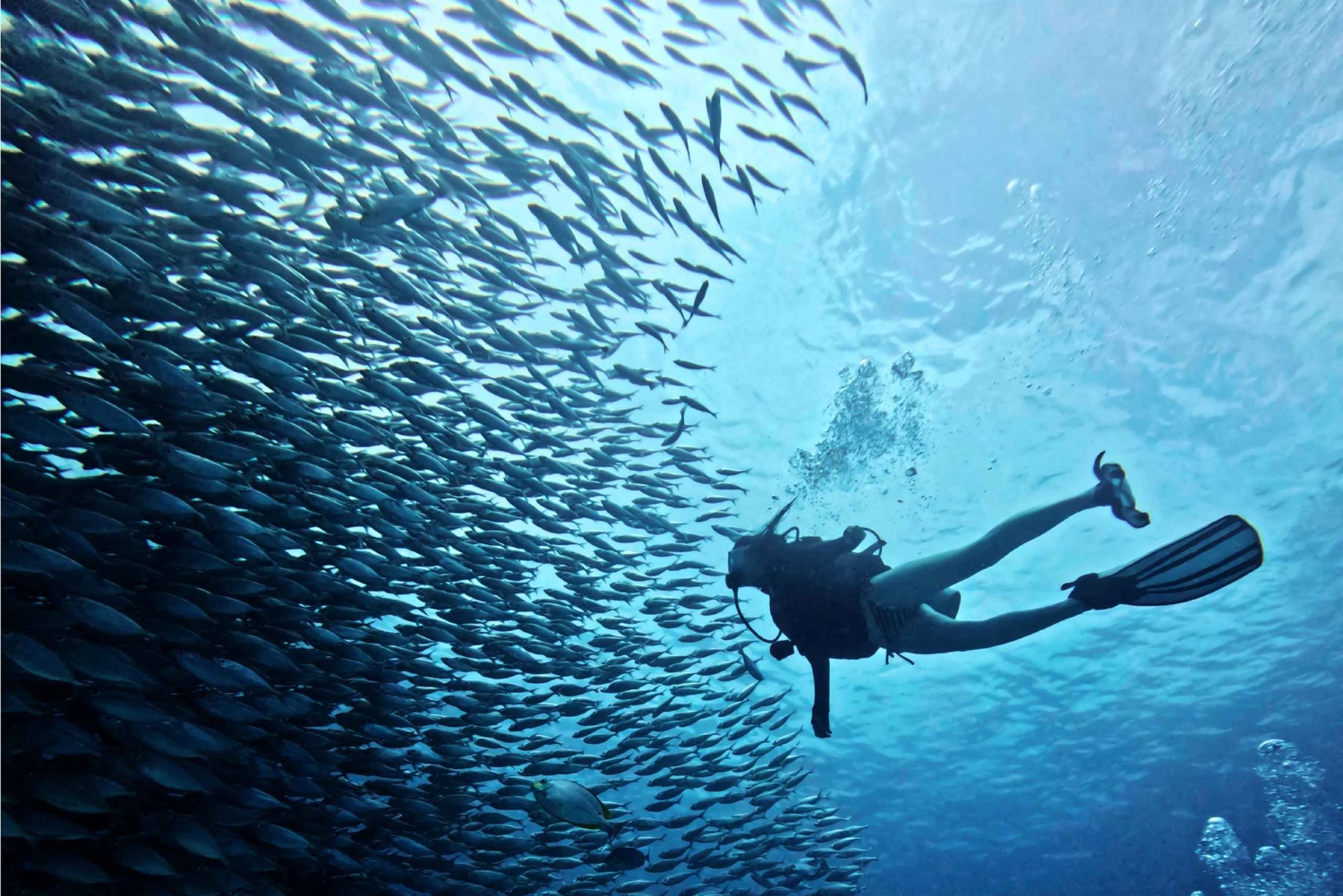 Phuket: gita di 1 giorno a Racha Yai e Noi con 3 immersioni