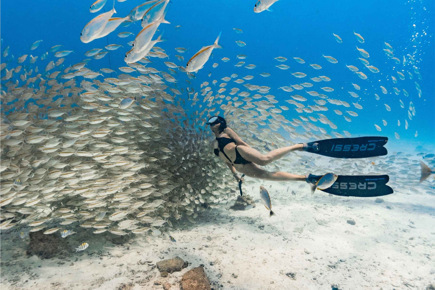 Phuket: gita di 1 giorno a Racha Yai e Noi con 3 immersioni