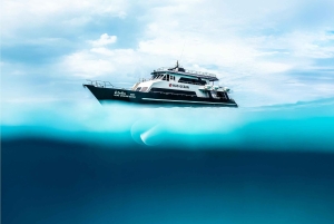 Phuket: gita di 1 giorno a Racha Yai e Noi con 3 immersioni