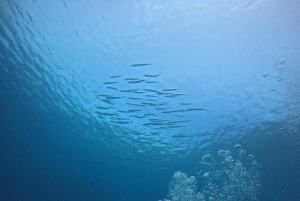 Phuket: Racha PADI Discover Scuba Diving 2 duiken en GoPro