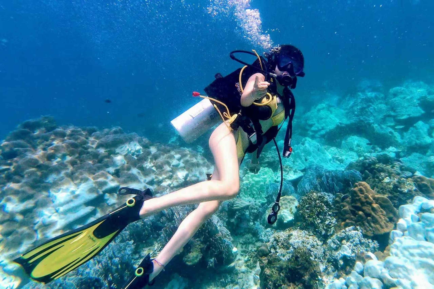 Phuket : excursion de plongée aux îles Racha Yai et Racha Noi