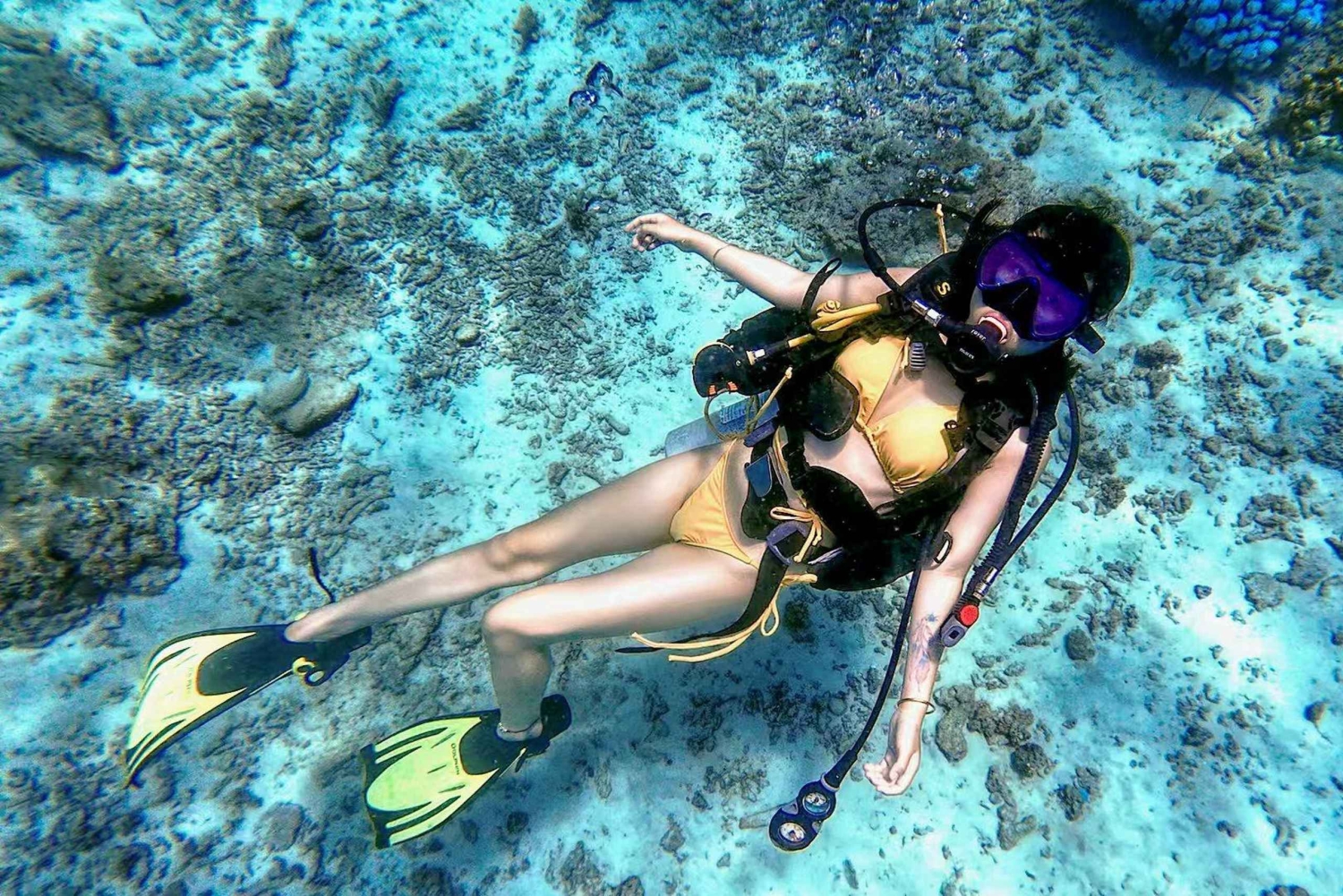 Phuket : excursion de plongée aux îles Racha Yai et Racha Noi